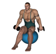 Upright Row - Fitness Ball Dumbbell
